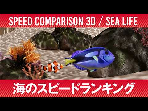 海の生物最速ランキング／SPEED COMPARISON 3D Sea Life