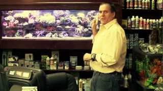 Custom Aquariums, Store in Doral, Aquarium & Supplies, Best Aquarium Design