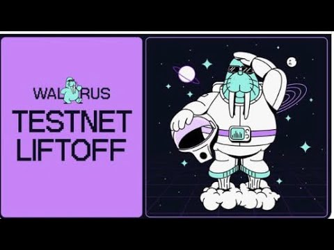 Walrus Testnet | Sui Network | Video Tutorial | #freeairdrop #testnet_airdrop