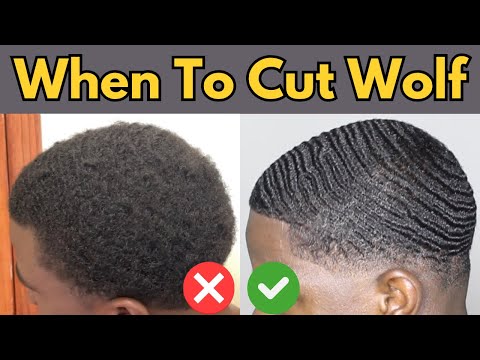 When To Cut 360 Waves Wolf | When To Stop Wolfing