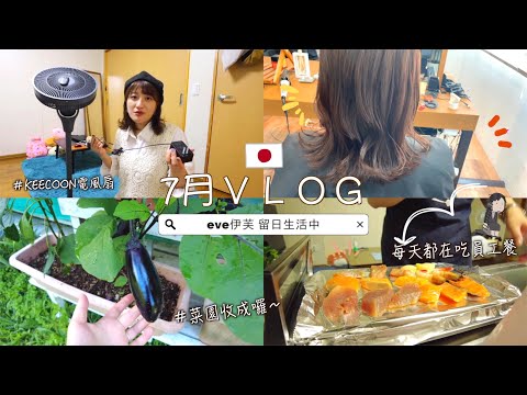 日本生活⎮7月工作狂vlog⎮名偵探柯南劇場版心得分享 ❤️、KEECOON 無線電風扇、菜園收成、閒聊時間⎮Eve 伊芙,留日生活中