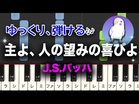 「主よ、人の望みの喜びよ」　バッハ　ゆっくり簡単ピアノ　初級レベル★★☆☆☆