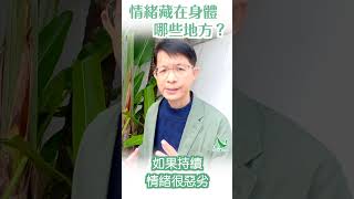 華山秘笈 Reels精華版 - 身心症系列 ：情緒藏在身體哪些地方？