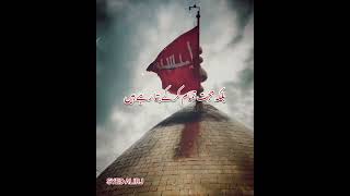 Shia Whatsapp Status |Shahzada Ali Asghar as| Imam Hussain as |