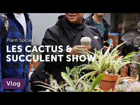 Lower East Side CACTUS & SUCCULENT Show Highlights — Vlog 058