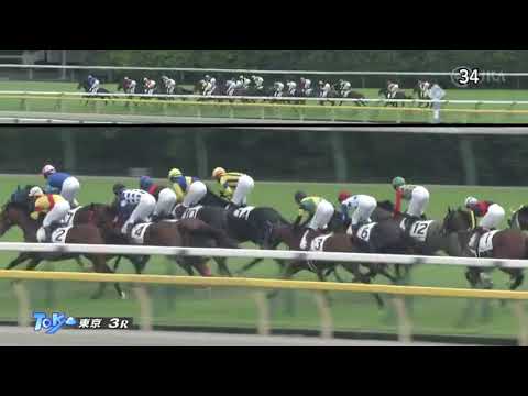 2022/10/15　リックスター　新馬戦