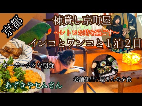 京都の一棟貸し京町屋/インコもワンコも宿泊出来る！/あずきやセムさん/老舗仕出し屋さんの夕食/レトロ建築/ノスタルジックなひと時を/ニューギニアオオハナインコ/ポメチワ