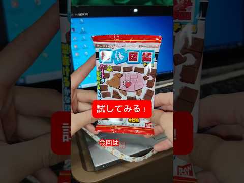 解体図鑑チョコを試してみた！#美味しい #お菓子 #チョコレート