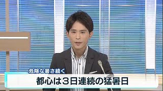 都心は3日連続で猛暑日