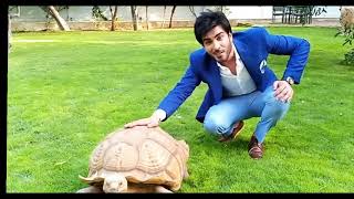 Imran Abbas with Tortoise | Imran Abbas Fans Official