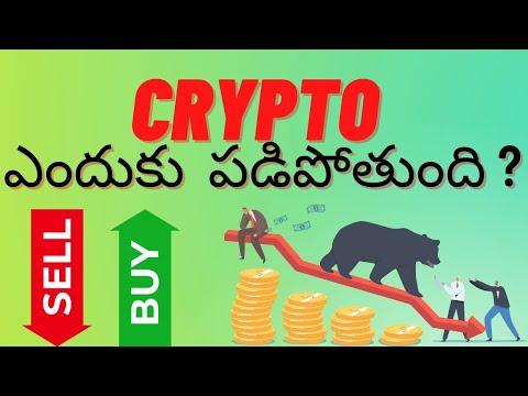 Why Crypto Market Crashing Telugu-When Will Altcoin Season Start?-Last Chance