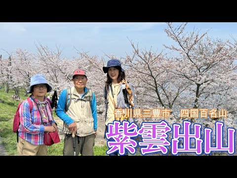 桜の名所、紫雲出山へ。海と桜と島の風景がすごい！70代の両親と一緒に。2024年4月