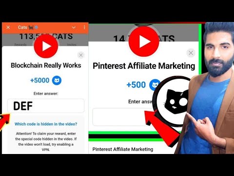 Blockchain Really Works cats code | Pinterest Affiliate Marking | Cats Video Code