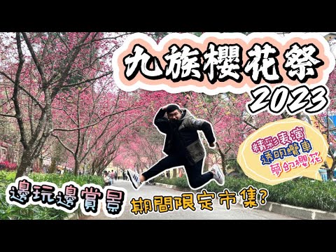 【南投景點】🌸九族櫻花祭🌸假日旅遊好選擇❗️｜免費日月潭纜車~到處是櫻花!有玩有看有吃~這邊太棒了吧~