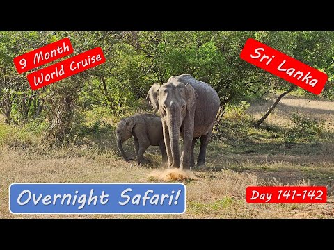 Sri Lanka Safari Adventure - Amazing wildlife in the Yala National Park!