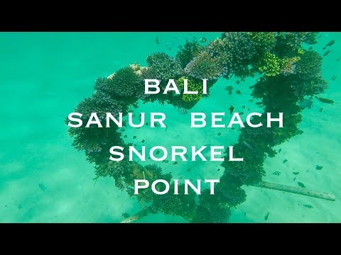 SNORKEL Sanur Bali 【VLOG】🌺【シュノーケル】