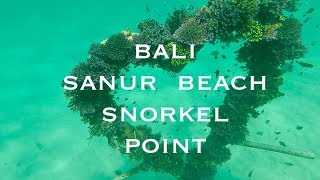 SNORKEL Sanur Bali 【VLOG】🌺【シュノーケル】