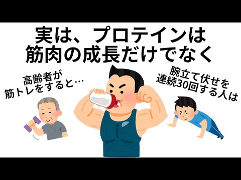 筋トレに関するためになる雑学