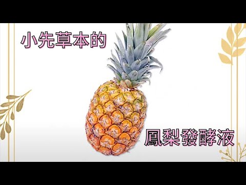 鳳梨發酵液(酵素)是怎麼製作的？【1分鐘小教室】小先草本｜酵素篇06