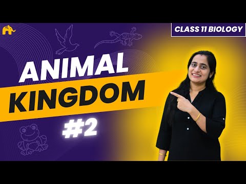 Animal Kingdom Class 11 Biology NCERT Chapter 4 #2|   CBSE NEET  | Chordata Sub- classification