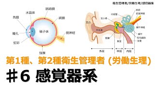 【♯6 感覚器系-労働生理】-2024年版 衛生管理者-　衛生管理者試験をわかりやすく解説　聞き流し