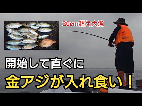 堤防に着いて釣りを開始してすぐに良型の金アジが連発!!最大23cm、釣れた時間帯は?