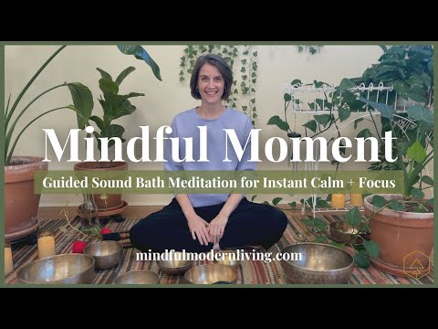 Mindful Moment #31 | Sound Bath Meditation | 4 Count Breath