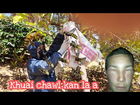 Khuai chawl kan la e || I ngam ve dawn mi.? 🤣