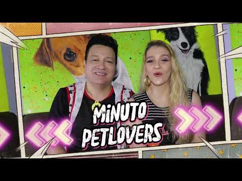 Minuto Petlovers - Revelação Chocante! Segredos da #castracao  que todo pai de pet precisa saber!