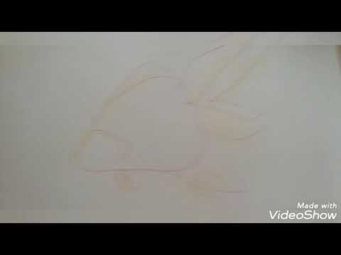 kids arts- Goldfish ( colour pencil)