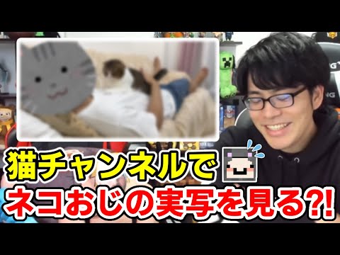 ✂️ そっちを見るの？！猫チャンネルの見方が独特なドズルさんw【ドズル社/切り抜き】