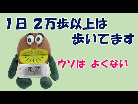 1日 2万歩以上は歩いてます･････ウソはよくない