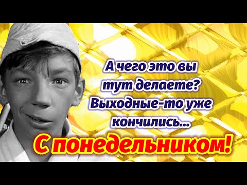 А Чего Это Вы Тут Делаете? Пора На работу! Начнем Неделю с Позитива.