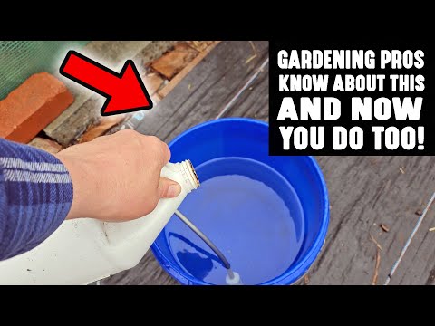 Gardening Pros Know About This AMAZING Technique To Ensure Strong Healthy Plants & Now You Do Too!