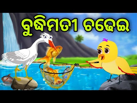 ବୁଦ୍ଧିମତୀ ଚଢେଇ ଓ ବୋକା ବଗ | Budhimati Chadhei O Boka Baga | Tiki Chadhei | Odia Gapa | Chadhei Gapa