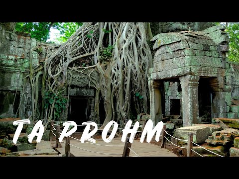 Angelina Jolie | Lara Croft -Tomb Raider Temple | Exploring Ta Prohm Temple, Angkor Wat, Siem Reap