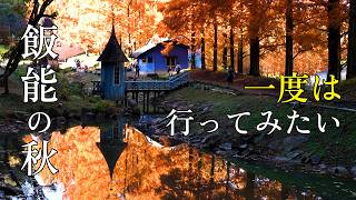 【幻想と絶景】紅葉と異世界を巡る厳選旅　埼玉県飯能市|A Journey Through Autumn Leaves and Fantasy Worlds: Hanno City, Saitama