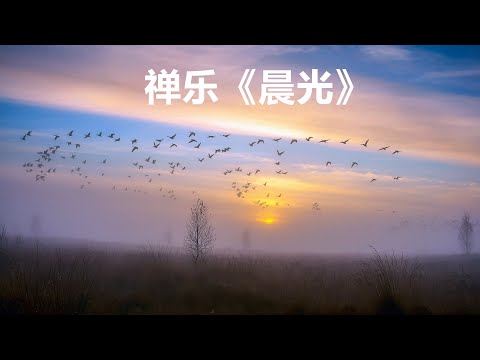 禅乐《晨光》晨光曦微，生机盎然，让人宁静