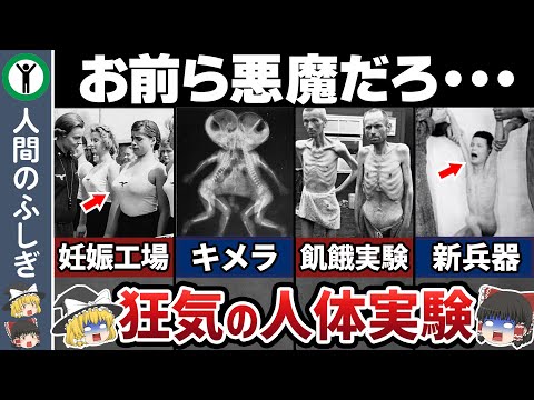 人類史上最大の黒歴史【ゆっくり解説】