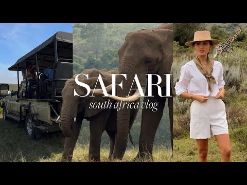 SOUTH AFRICA SAFARI | A trip of a life time 🐾  Kate Hutchins