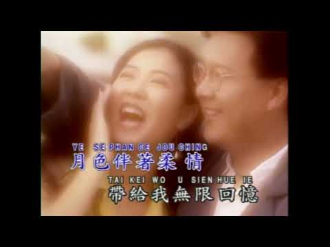 庄学忠 - 寂寞伴柔情 (Karaoke Version)