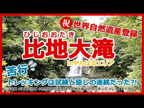 【㊗️世界自然遺産！】沖縄県北部やんばるエリアにある絶景『比地大滝』トレッキングは試練と癒しの連続だった。（しろくまツアー）