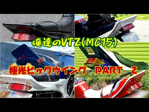 俺達のVTZ250　極光ビッグウイング装着車輛PARTⅡ