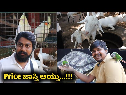 400 ರೂಪಾಯಿ Worth ಇದ್ಯಾ...!!! | Likhith Shetty Vlogs