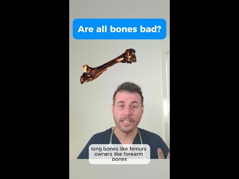 Are all bones bad for dogs?