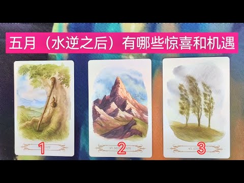 五月运势 接好运 事业 收入 财富 爱情 感情 恋情 脱单  塔罗占卜