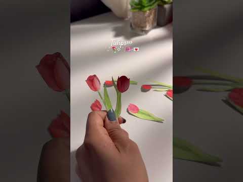 Tulip envelope💌🌷#art #shortvideo #aesthetic