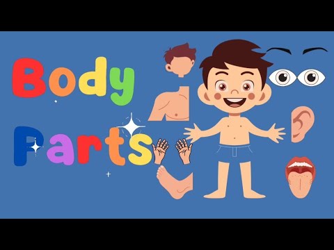 Body parts #bodyparts #bodypartsinenglish #bodypartsforkids #bodypartsname #bodypartsnameforkids