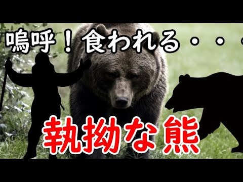 執拗なヒグマと狂った登山者