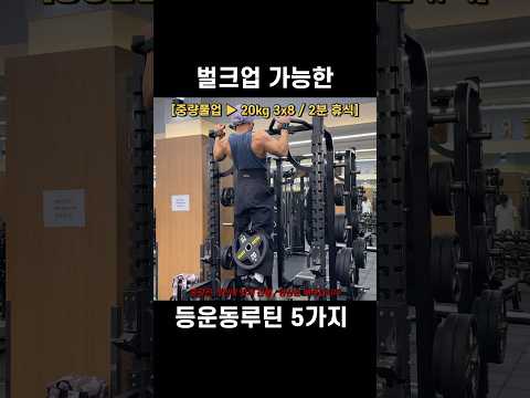 벌크업 가능한 등운동루틴 5가지